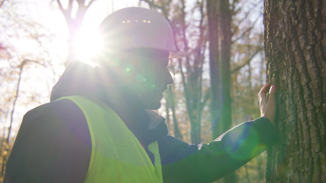 biólogo masculino tocando el tronco del árbol con la mano mientras el resplandor del sol en el fondo, de mano