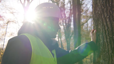 male biologist touching tree trunk with his hand while sun glare on the background, handheld