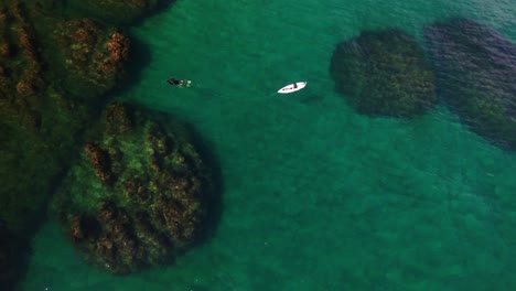 A-lone-snorkeler-swims-in-beautiful-azure-water-and-coral-reefs,-Costa-Rica,-aerial-top-down-orbit