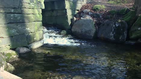 water-in-a-creek-in-Christieparken-in-Bergen,-Norway