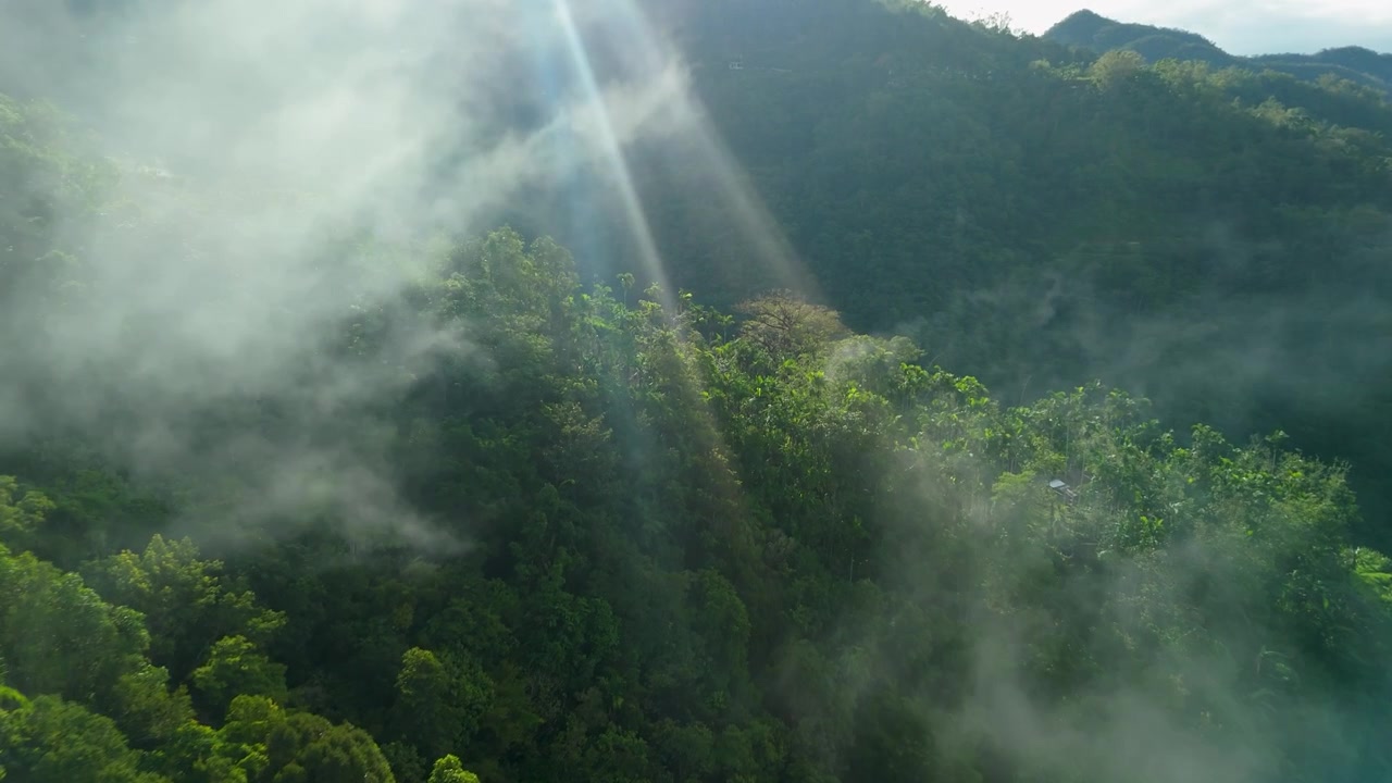 Pemandangan udara dari atas kanopi hutan tropis hijau lebat dengan sinar matahari menembus kabut dan pegunungan dekat Banaue dan Sagada di Filipina