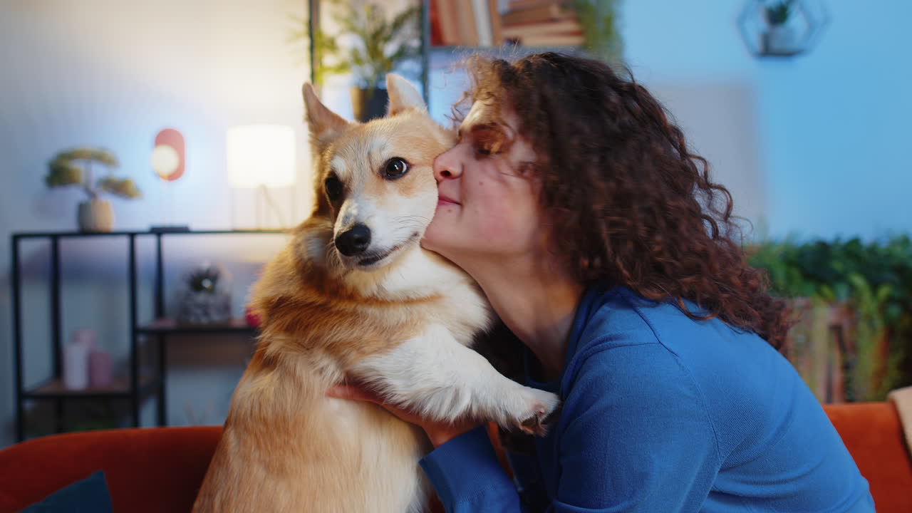 Loving young woman caressing kissing cute funny pet corgi dog on sofa in living room at home