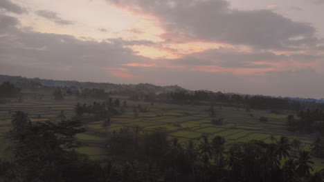 drone shot of balis sunrise in the rice fields