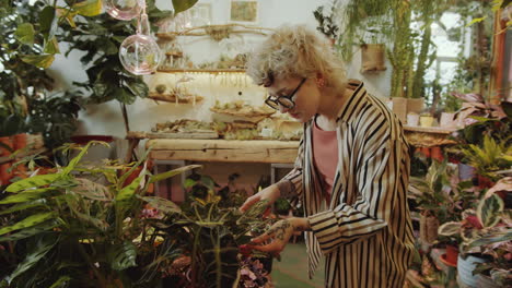 floristas femeninas rociando y examinando plantas en una tienda de flores