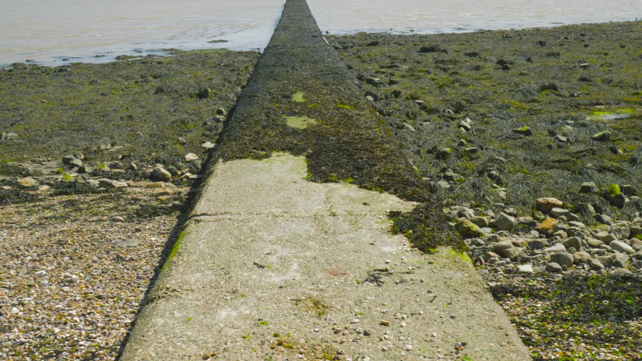 muelle de piedra cubierto de musgo en la playa de harwich, essex, inglaterra