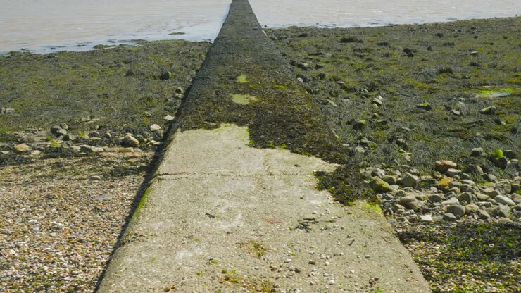 Stone Pier Covered In Moss At The Beach In Harwich, Essex, England