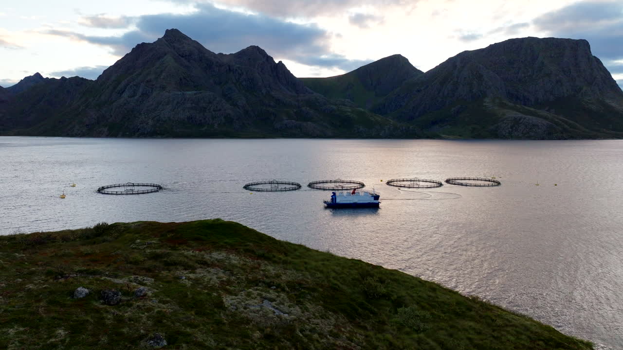 노르 피오르드 (nordic fjord) 의 연어 농장 수산업, 둥근 해양 펜, 넓은 공중
