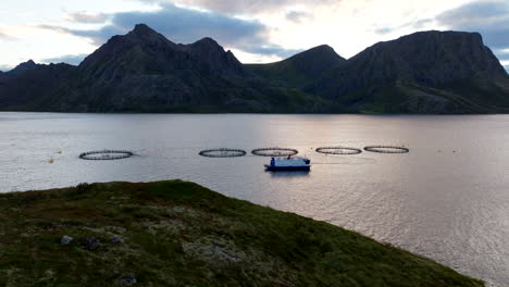 acuicultura de salmones en fiordos nórdicos con corral marino redondo, amplia antena