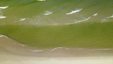 aerial view of green baltic seawater waves slowly reaching the shore in osetnik, poland, early autumn 2020