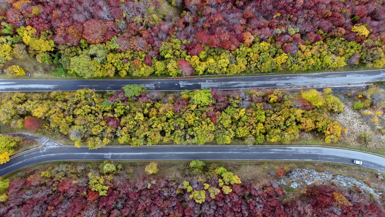 Aerial view of colorful autumn forest with winding road and moving car