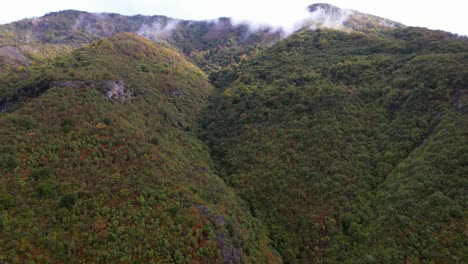 High-mountain-peak-covered-in-fog-at-Autumn-after-the-rain,-beautiful-forest-with-colorful-foliage