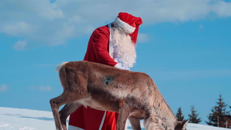 Der-Weihnachtsmann-Streichelt-Eines-Seiner-Hirsche-Auf-Einem-Schneebedeckten-Feld