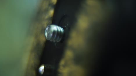 Macro-shot-of-a-tripod-plate-close-up,-camera-gear,-silver-screw,-crane-movement,-120fps-slow-motion,-Full-HD