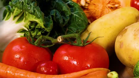 a colorful display featuring tomatoes, squash, and leafy greens against a blue backdrop.