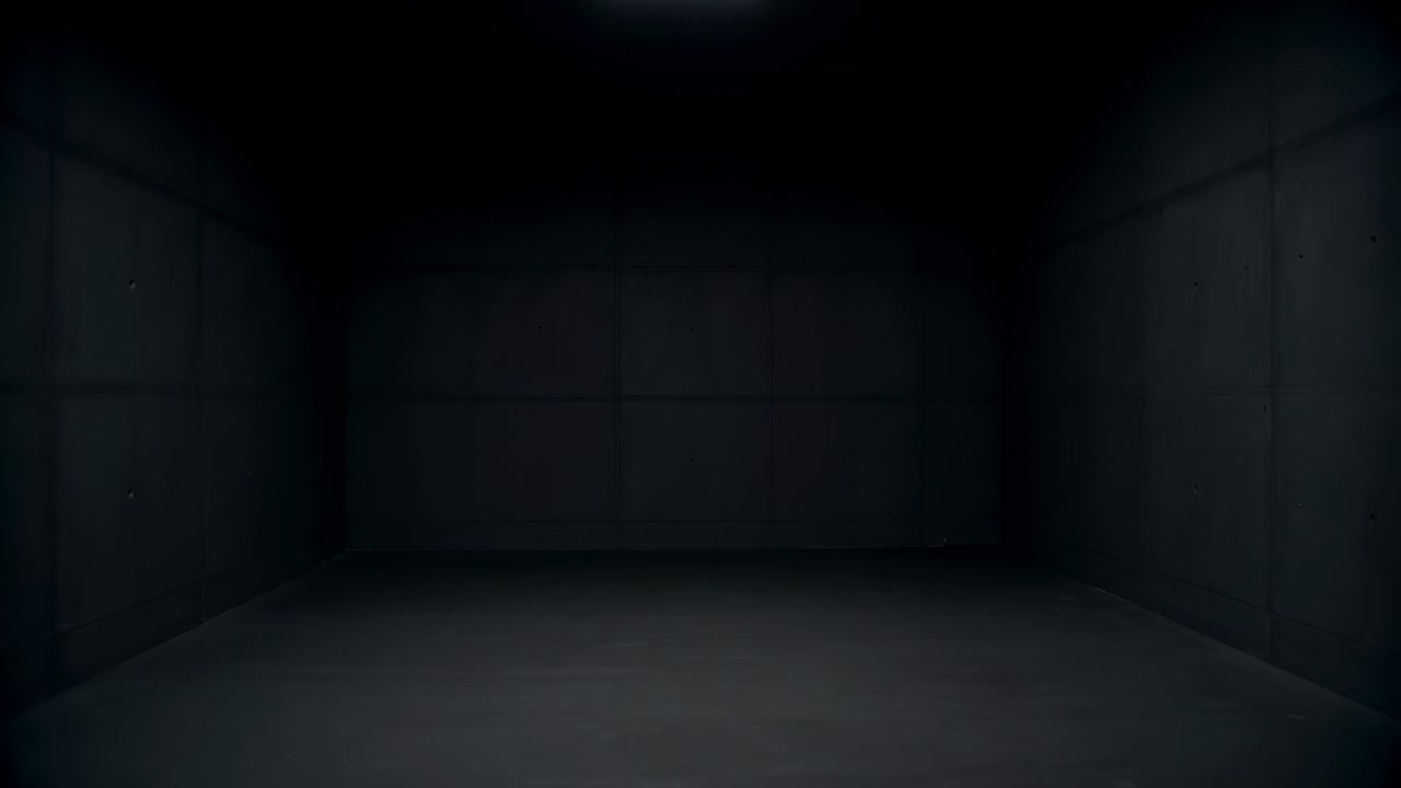 Dæmpet, rektangulært loftlys kaster dybe skygger hen over vægge og gulv af betonpaneler