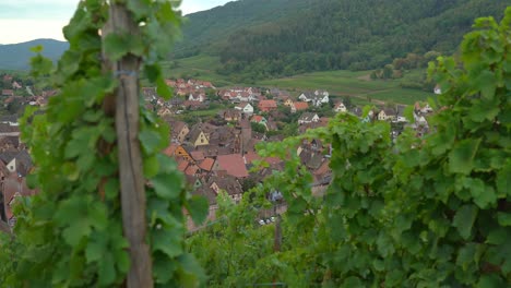 Der-Elsässische-Haustyp-Erreicht-In-Riquewihr-Seinen-Vollendetsten-Ausdruck,-Indem-Er-Alle-Möglichen-Variationen-Des-Skulptierten-Fachwerks-Bietet