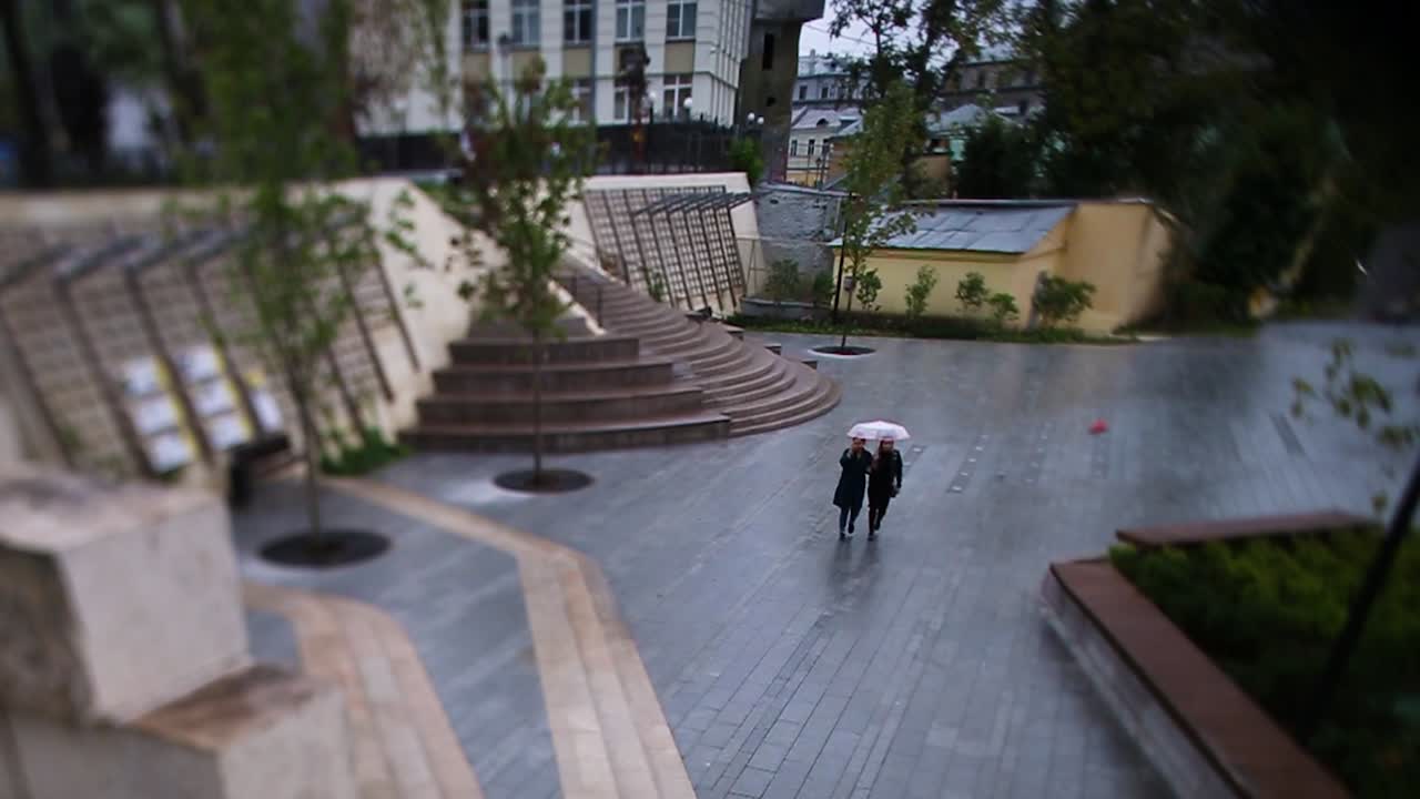 дождливый день в городском парке