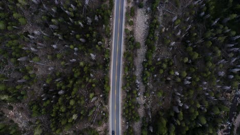 aerial top bird's eye drone shot of a small canyon highway in the uinta wasatch cache national forest in utah surrounded by large pine trees and cars passing by on a gloomy overcast summer day