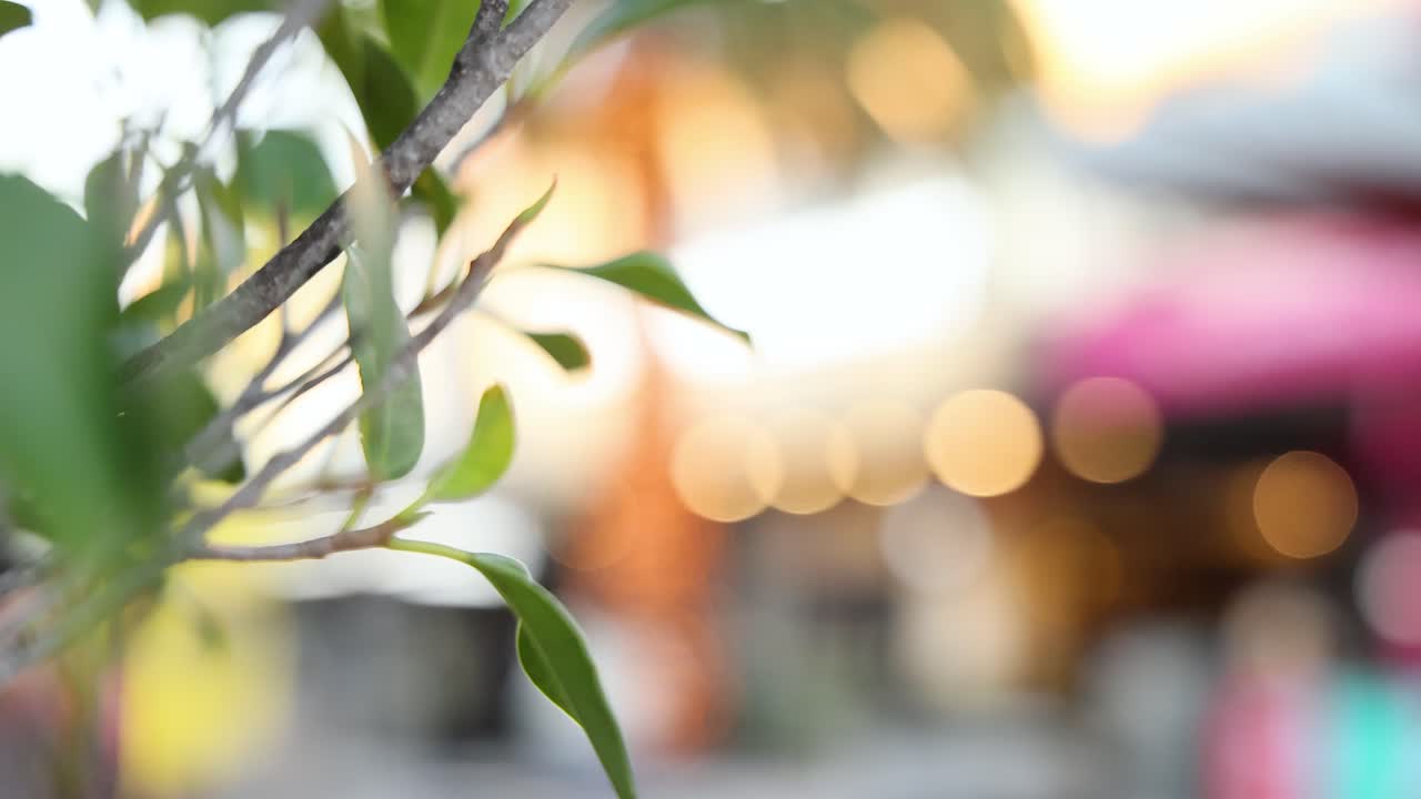 흐릿한 도시 배경의 지부