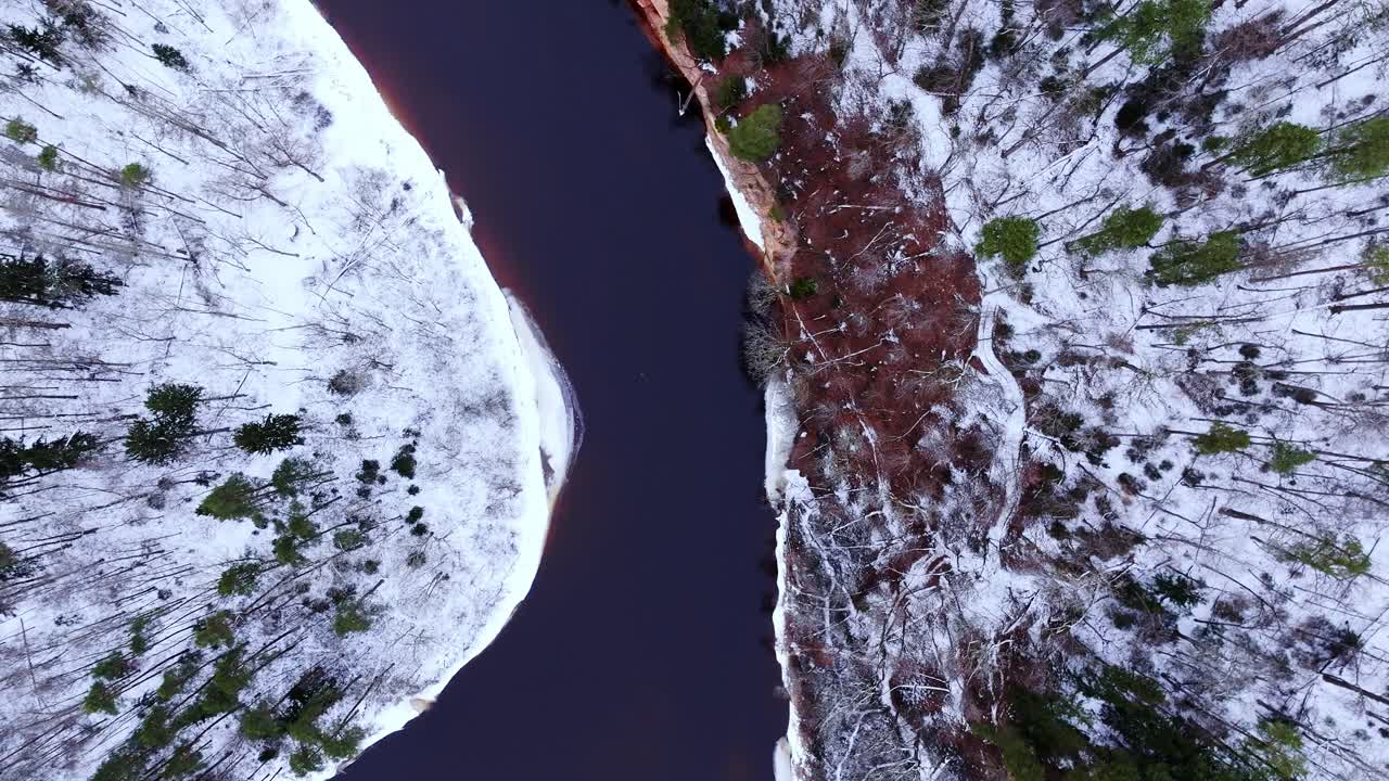 Drone flies above frozen forest and Gauja River curves in winter Latvia park