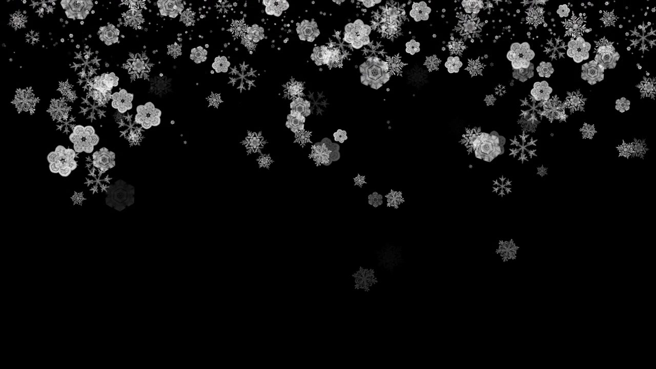 Falling Snowflakes Overlay on Black Background