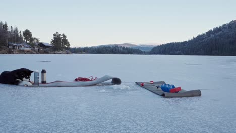 person puts on fur rug on mat laid down on frosted lake with dog lying during winter fishing in trondheim, norway