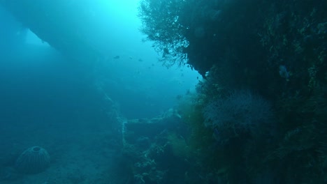 underwater rock fluorescent blue light from the sea surface