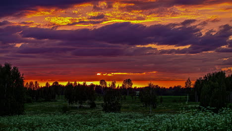 Toma-Estática-De-Nubes-Oscuras-Que-Pasan-En-Un-Lapso-De-Tiempo-Sobre-Flores-Blancas-Silvestres-Sobre-Un-Bosque-Verde-En-El-Fondo-Con-Praderas-Verdes-En-Primer-Plano-En-Un-Lapso-De-Tiempo-Al-Amanecer