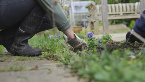 couple weeding together in their garden