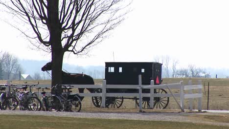 an amish horse and buggy trot by a rural property with bicycles parked under a tree