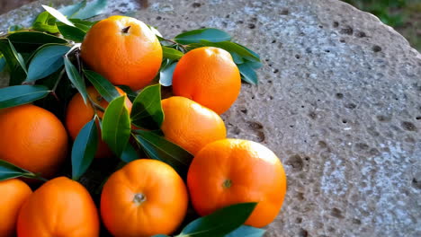 fresh oranges on a stone surface