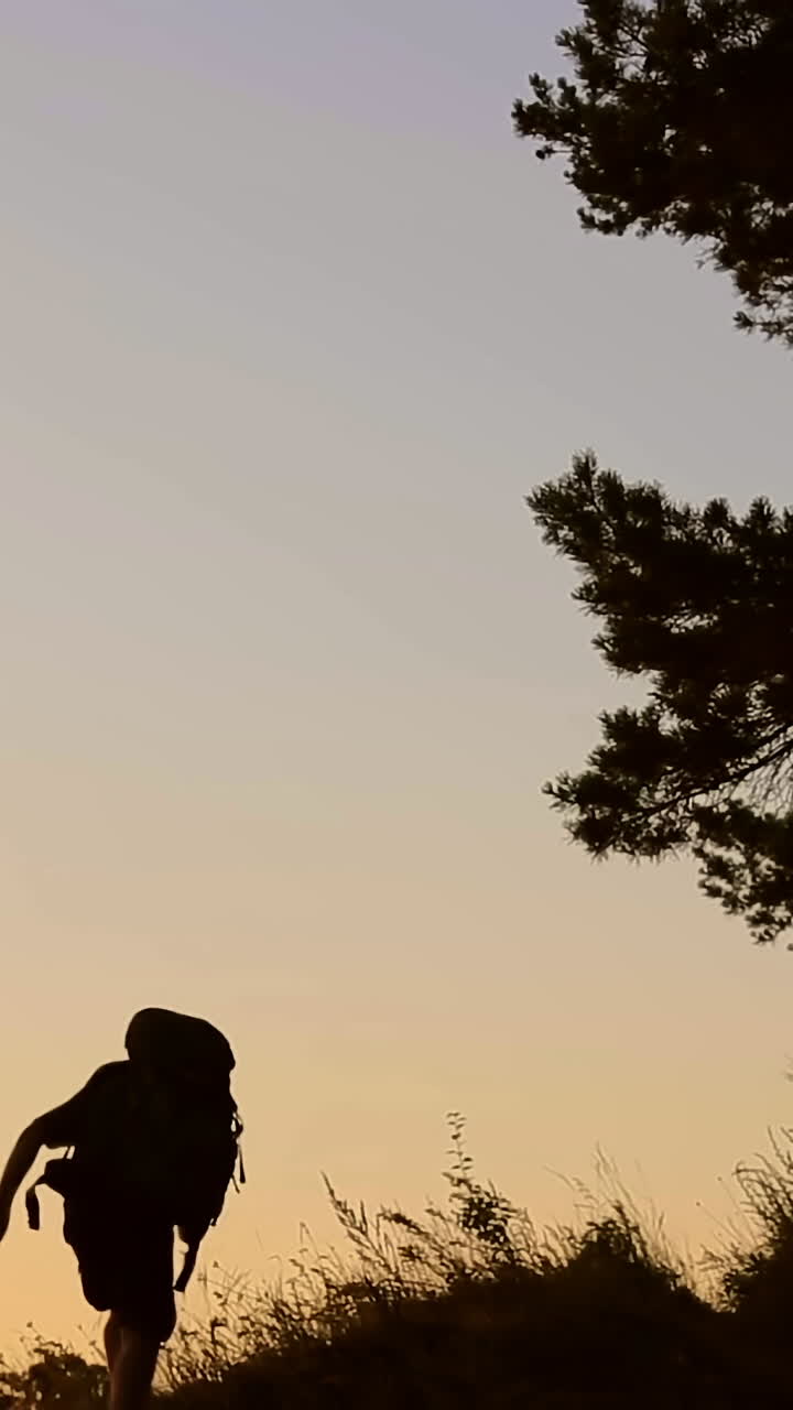 Hiker Rising To The Hill. Rear view of man hiker rising the hill in the evening Vertical video