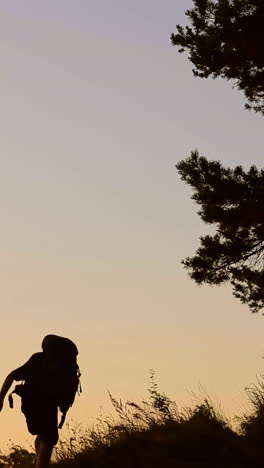 hiker rising to the hill. rear view of man hiker rising the hill in the evening vertical video