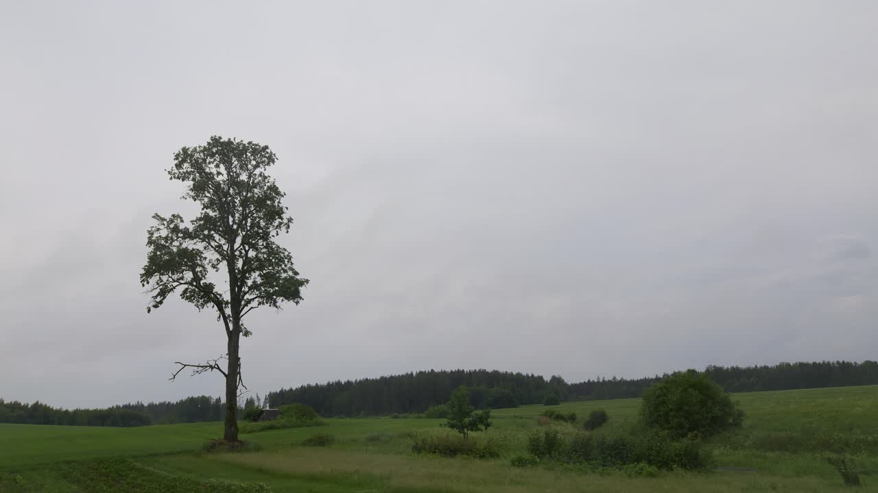 Evening storm rain  cloud timelapse