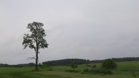 evening storm rain  cloud timelapse