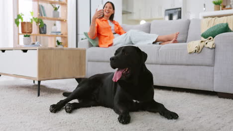 Relax,-selfie-and-dog-with-woman-on-sofa