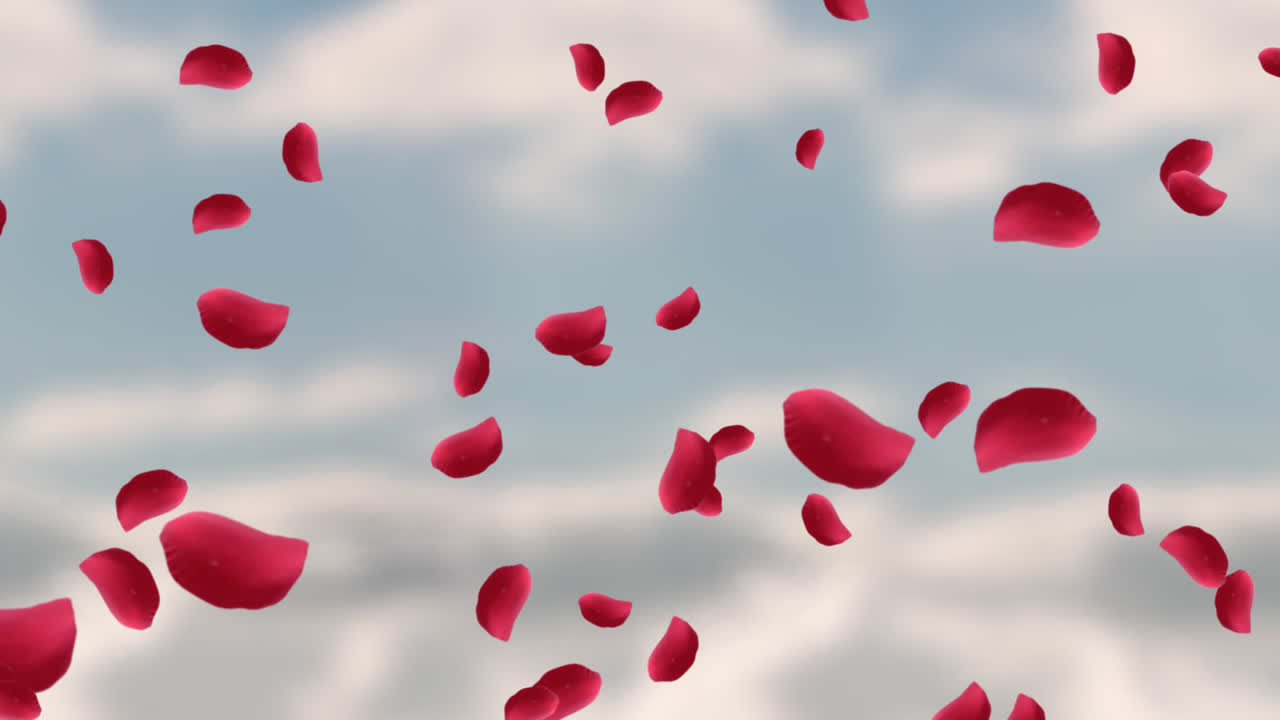 발렌타인 데이 축제