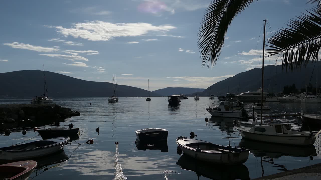 foglie di palme e barche al tramonto, marina, reveal shot, tivat, montenegro