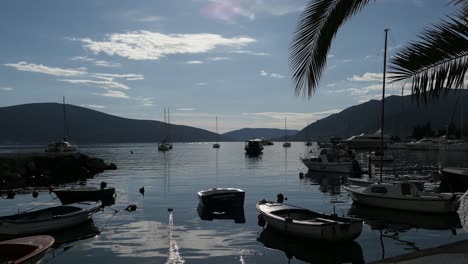 Palm-tree-leaves-and-boats-at-sunset,-marina,-reveal-shot,-Tivat,-Montenegro