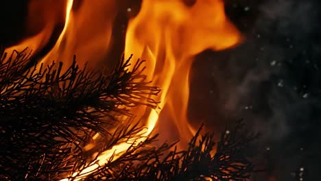 close-up of a fire burning