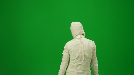home isolated back view of brunette holding chroma key green screen smartphone watching content home isolated back view of brunette holding chroma key green screen smartphone watching content without touching or swiping coronavirus covid19 quarantine remote education or working concept