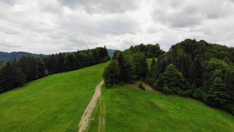 Sendero-Sereno-En-El-Prado-Y-El-Bosque-De-La-Montaña-Beskid-Sadecki,-Polonia,-Vista-Aérea