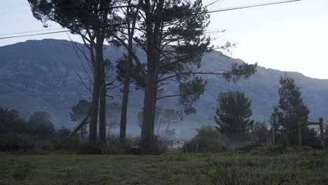 Camera-Tracks-Slowly-Left-Across-A-Misty-Meadow-On-a-Cold-Frosty-Morning