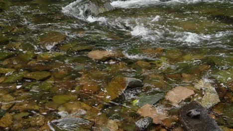 El-Agua-Fluye-Sobre-Las-Piedras-En-El-Arroyo-Wisshaickon