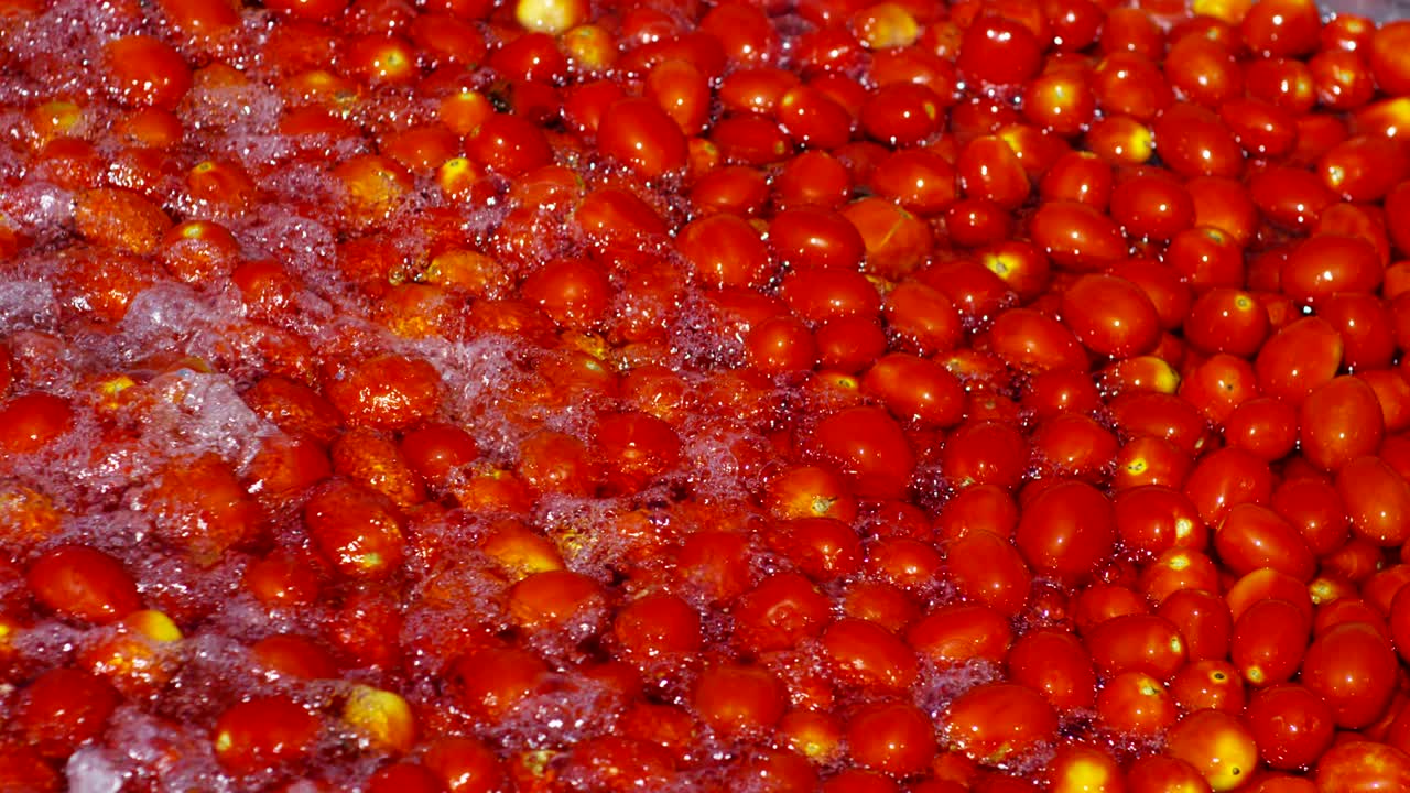 토마토 산업에서 은 토마토는 물로 가득 찬 크로 들어가서 과 꺼기에서 겨서 깨하게 나옵니다.