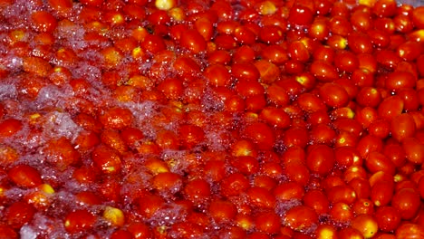 토마토 산업에서 은 토마토는 물로 가득 찬 크로 들어가서 과 꺼기에서 겨서 깨하게 나옵니다.