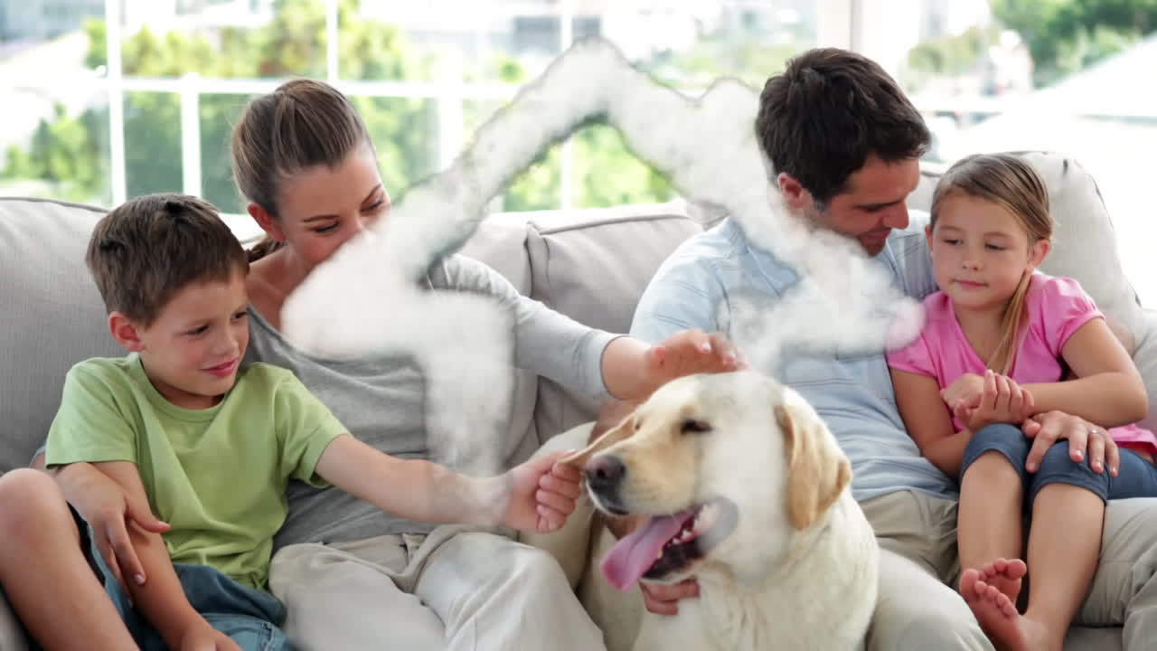 꿈의 집과 가족