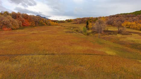 Eine-Bunte-Bergwiese-Im-Herbst-Mit-Herbstfarben-–-Luftüberflug-Zwischen-Den-Espen