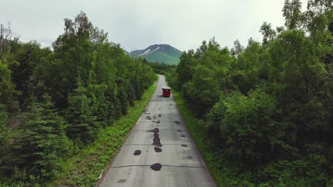 aerial view of trolley tour in the road between the lush green forest