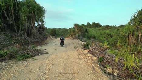 Golden-light-aerial-follows-man-riding-motorcycle-on-dirt-jungle-road